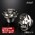 ミラーホールカバーボルト キャップ M10×10mm P1.25 正ネジ 逆ネジ 2個セット ヤマハ車用 スターホールヘッド SUS304 シルバー TH0183