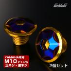 ミラーホールカバーボルト キャップ M10×10mm P1.25 正ネジ 逆ネジ 2個セット ヤマハ車用 スターヘッド SUS ゴールド＆ブルー TH0190