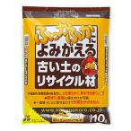 コエンザイムQ10