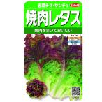  реальный . овощи lettuce yakiniku lettuce красный лист chima* гибрид сельдерея и салата маленький пакет 003038