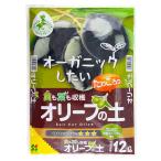  цветок ... оливковый. земля 12L