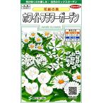 sakata. tane реальный . цветок 5905 цветок краски белый цветок сад 00905905