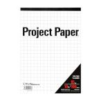 okina диаграммная бумага Project бумага B5 10mm person глаз .100 листов PPB50S