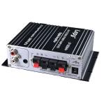 Lepy デジタルアンプ LP-2024A + Tripath TA2024 + 12V 5Aアダプター付属