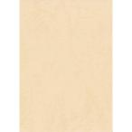 es kent цвет бумага для рисования Star кожа 4 порез бежевый 50 листов 5504851