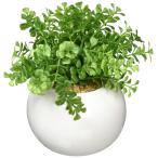 ケーアイジャパン インテリア/人工観葉植物 ファンシェイプ
