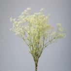  большой земля сельское хозяйство . консервированный цветок super soft Minica smi.* flair примерно L50cm 10G входить DO000025-011