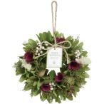 e волокно - wonder Zone (SG Wonder zone) lease 18cm 660-033S S размер всесезонный lease маленький в коробке подарок 