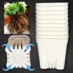 Leap Raupe горшок с разрезом pra горшок цветочный горшок пластик 2.5 номер 3 номер 10 шт ( белый )