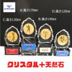  earth Trophy стекло .+ натуральный камень Trophy WGST D размер relief выбор plate бесплатный соответствует 
