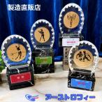  earth Trophy crystal .+ мрамор Trophy WGSU 24 видов relief из выбор plate бесплатный соответствует A размер ~D размер масса чувство есть 