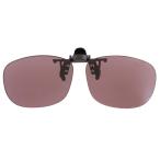 SWANS CP-30 CP30-0070 PROSK