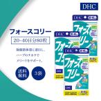 DHC フォースコリー 20〜40日分 80粒 3袋セット サプリメント 健康食品 ディーエイチシー ダイエット 必須アミノ酸 BCAA ビタミンB