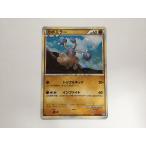 カポエラーの出品写真