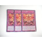 Yahoo! Yahoo!ショッピング(ヤフー ショッピング)AE3【遊戯王】大いなる魂 3枚セット シークレットレア 即決