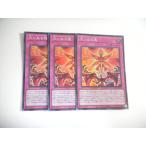 Yahoo! Yahoo!ショッピング(ヤフー ショッピング)BK3【遊戯王】大いなる魂 3枚セット スーパーレア 即決