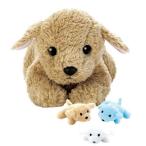 ���y�b�g�@���ʎY�񂶂�����I ���܂܂��ƁA������������ ������A�y�b�g�g�C