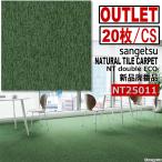 【サンゲツアウトレット】新品NTダブルエコ タイルカーペットNT25011 濃緑色【20枚/1ケース】5平米■送料無料■