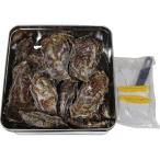  Hiroshima префектура . индустрия . такой же комплект . полосный .. Hiroshima ... can can жарение H-KY16 подарок по случаю конца года подарок подарок 2025 бесплатная доставка . покупка 