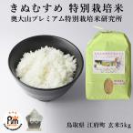 米 お米 5kg 特別栽培米