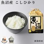 米 お米 10kg 魚沼産 こ