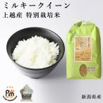 米 お米 10kg 特別栽培
