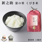 米 お米 10kg 新之助 新