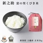 米 お米 2kg 新之助 新