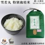 米 お米 10kg 特別栽培