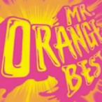 ＭＲ．ＯＲＡＮＧＥ／ＭＲ．ＯＲＡＮＧＥ　ＢＥＳＴ（ＤＶＤ付）