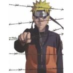 劇場版 NARUTO−ナルト−ブラッド・プリズン(完全生産限定版) 劇場版 NARUTO−ナルト−ブラッド・プリズン(完全生産限定版)