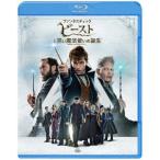 ファンタスティック・ビーストと黒い魔法使いの誕生（Ｂｌｕ−ｒａｙ　Ｄｉｓｃ）
