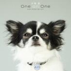 大塚愛／犬塚　愛　Ｏｎｅ　ｏｎ　Ｏｎｅ　Ｃｏｌｌａｂｏｒａｔｉｏｎ