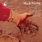 ＢＬＡＣＫ　ＭＡＲＢＬＥ／ＦＡＳＴ　ＩＤＯＬ