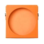 FiiO(fi-o) FIO-NE-DM15R-O orange DM15 R2R специальный PU кожанный кейс 