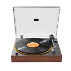 FiiO(fi-o) FIO-TT11-BR Brown полный автоматический Bluetooth соответствует аналог запись плеер NE5532ope усилитель мощный фоно эквалайзер 