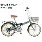 21テクノロジー(21Technology) 折りたたみ自転車 ミニベロ シマノ製6段変速 20インチ SOLA206(ブラック/グレイ)