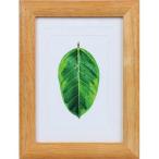  Kenko (Kenko) PS-GM-TI щеки фоторамка каучуковое дерево L* открытка *2L двоякое применение 