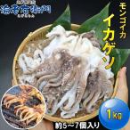 海老右衛門 モンゴイカゲソ 5/7サイズ 1kg(1kgに約5〜7入り) 肉厚で甘みの強いゲソ 塩焼き イカ下足 いか いかげそ バーベキュー おつまみ お弁当 業務用