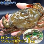 ショッピングカニ 柔らかい殻のカニを丸ごといただく、ソフトシェルクラブ！！1kg 栄養がぎゅっと詰まった脱皮直後のカニを、とても美味しい状態で漁獲しています。 業務用