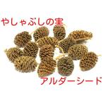 やしゃぶしの実（アルダーシード）15個　処理済み 入れるだけ　ベタ、レッドビーシュリンプ