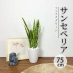 RAKU  フェイクグリーン 人工観葉植物 人工観葉樹 造花 サンセベリア 鉢付 おしゃれ オフィス 開店祝い 75cm お手入れ簡単 水やり不要 虫害の心配なし