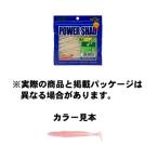 エコギア POWER SHAD (パワーシャッド) 119 オキアミ (夜光) 4inch/100mm 7pcs. ルアー　 【ソルトワーム】