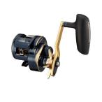 DAIWA（釣り） 21 ソルティガIC 300HL-SJ 釣り ベイトリール - 最安値