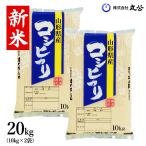 新米 令和7年産 お米 米 20kg コシヒカリ 白米 山形県産 送料無料 10kg×2袋