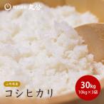 令和7年産 お米 30kg 10kg×3袋 コシヒカリ 米 白米 山形県産 送料無料