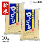 新米 令和7年産 米 10kg 5kg×2袋 コシヒカリ お米 コメ 白米 送料無料