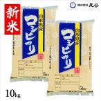 ショッピング米 10kg 送料無料 新米 令和7年産 米 10kg コシヒカリ お米 コメ 白米 5kg×2袋 送料無料