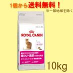 【基本送料込】ロイヤルカナン　FHN　エクシジェント35/30　味わい・食感　10kg