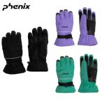  Phoenix Transcends Shade Gloves женский лыжи перчатка Alpen сноуборд лыжи перчатки защищающий от холода ESW23GL52 Phenix 2023-24